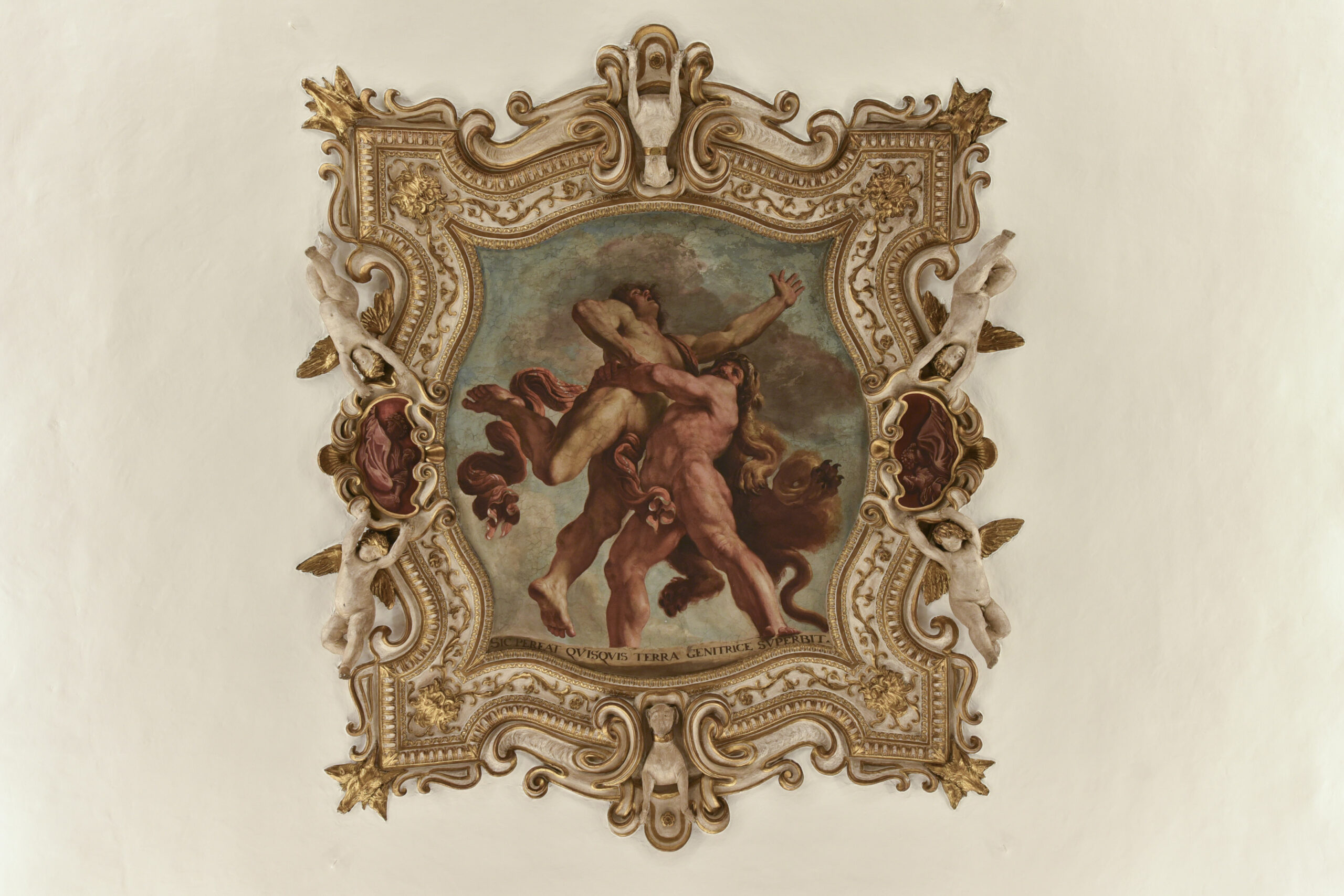 Il soffitto di Palazzo Talon Sampieri: l'affresco di Ercole e Anteo entro la cornice di stucchi argentati e dorati